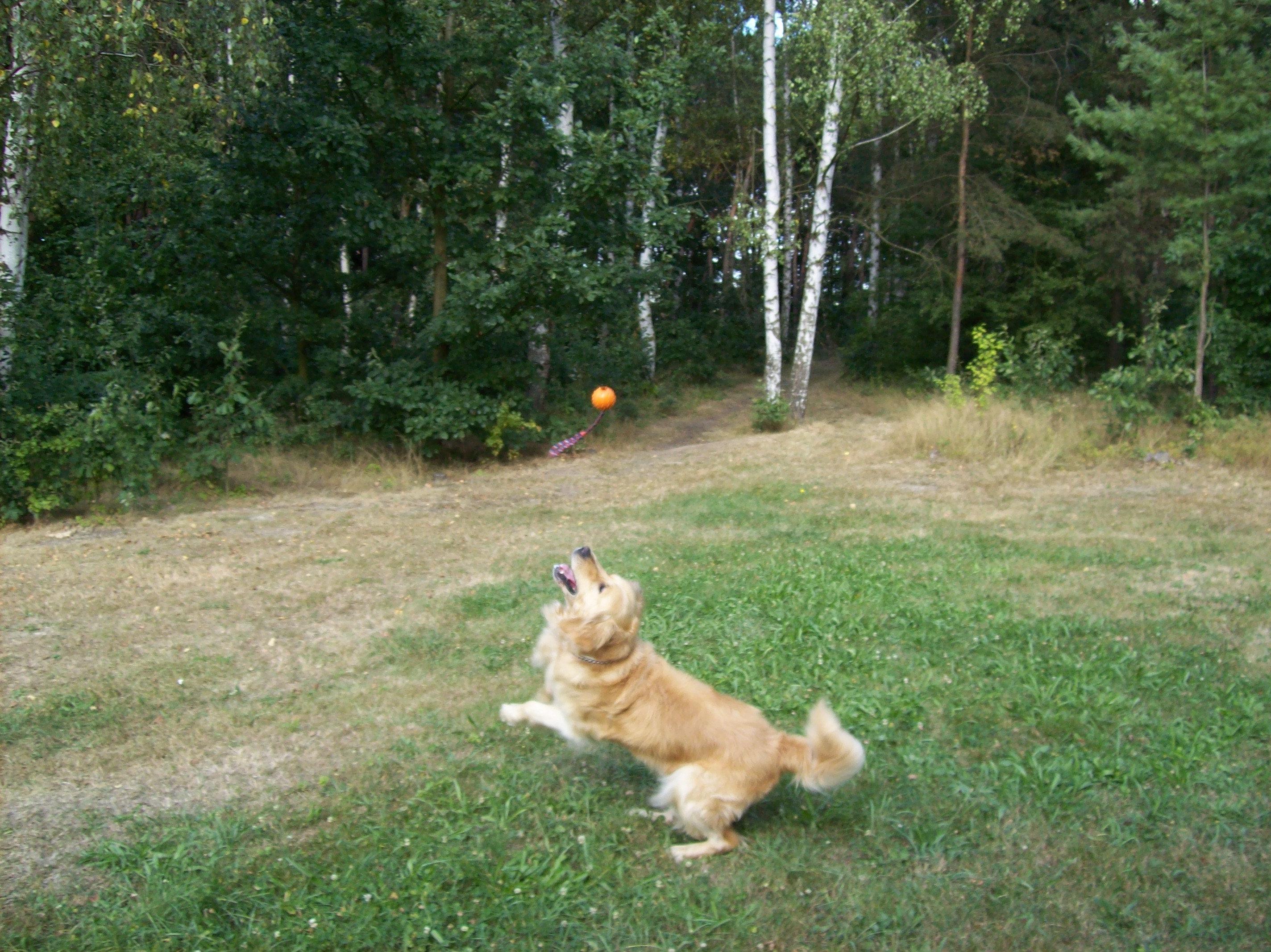 Snímek 087.jpg