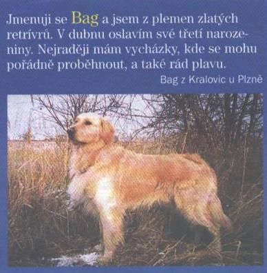 Já v časopisu